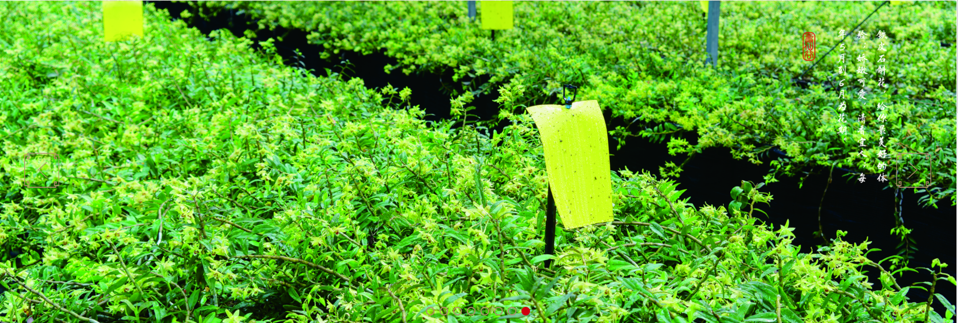 浙江寿仙谷医药股份有限公司